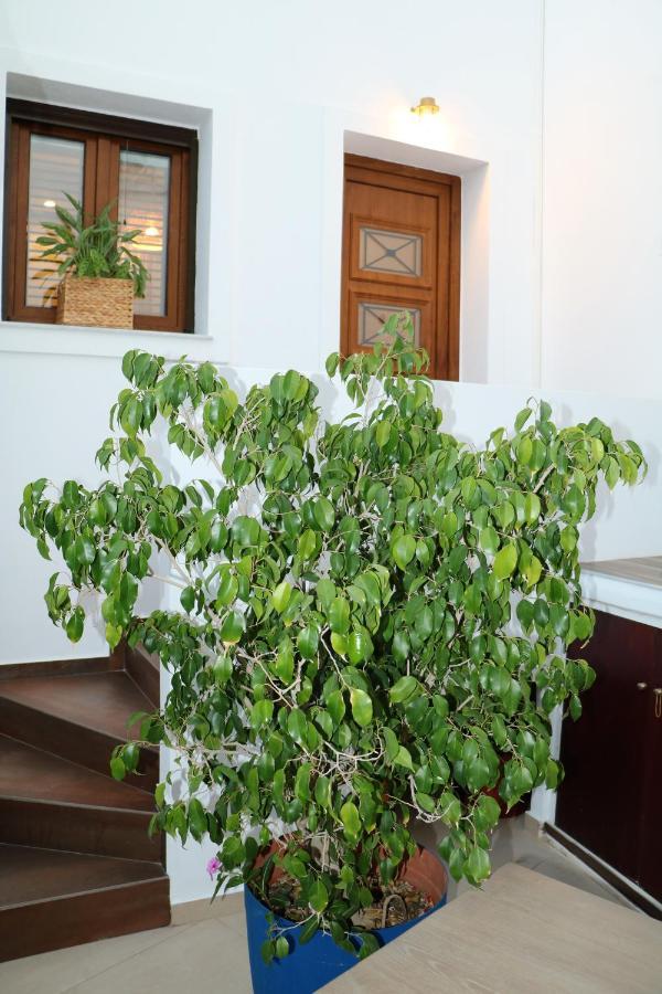 Angelica'S Deluxe Rooms In Adamas Экстерьер фото